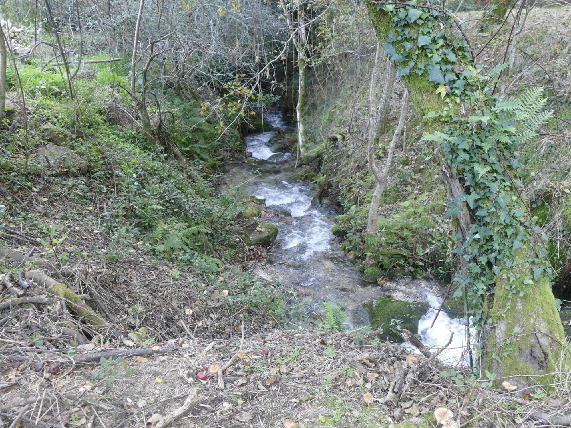 Casita A Estrenar En Finca Con Rio Proxima A Tui, Gondomar Y Portugal. Eksteriør billede